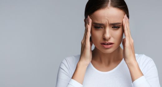 Alın Kemiği Yapısı