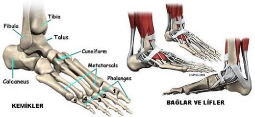 Ayakta Kemik İliği Ödemi Belirtileri ve Tedavisi