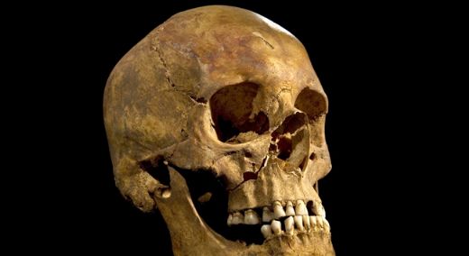 İnsan Kemikleri ve Çeşitler