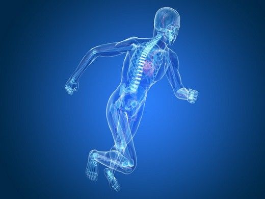 Kalça Kemiği Kırılması Belirtileri ve Tedavisi