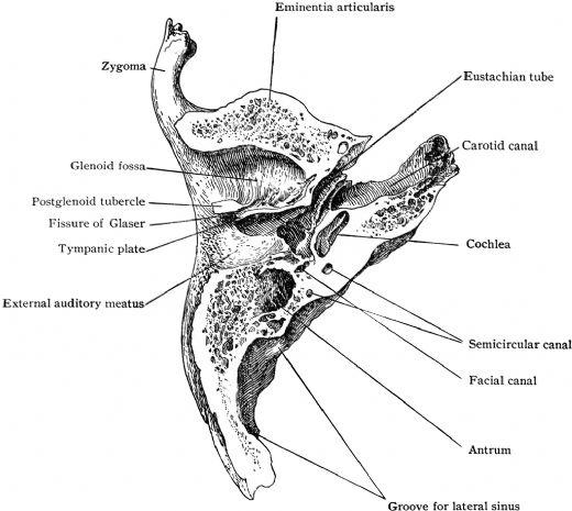 Temporal Kemik Tedavisi